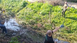«День води»: у Луцьку екологи почистили берег Сапалаївки (фото)