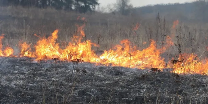 Не будьте ворогом у тилу: волинян закликають не палити суху траву