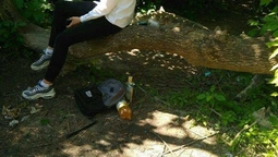 Останній дзвоник: у луцькому парку школярі розпивали алкоголь (фото)