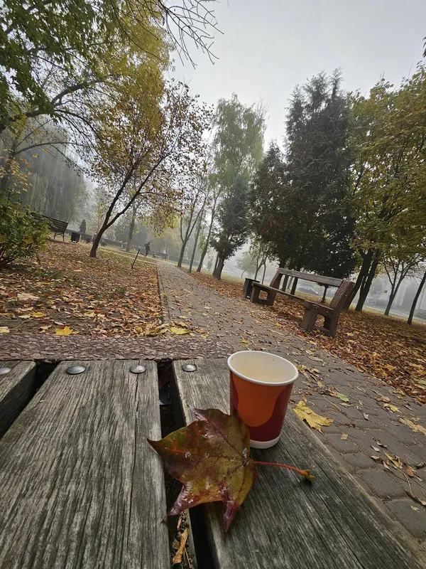 Яскраві краєвиди: у мережі показали світлини осіннього Луцька (фото)