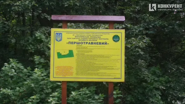 Ліс на Волині гине: його нищать шкідники і недосконалі закони