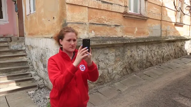 У Луцьку рахуватимуть безпритульних собак: потрібні волонтери зі смартфонами (відео)