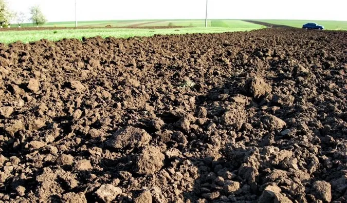 Підприємця на Волині змусять сплатити і борг за оренду землі, і штраф за борг