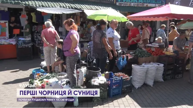 На луцьких ринках з’явилися перші чорниці і суниці (відео)
