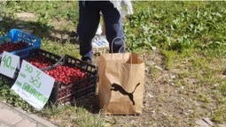 У Луцьку діти продають черешні, щоб купити «Байрактар» для захисників (фото)