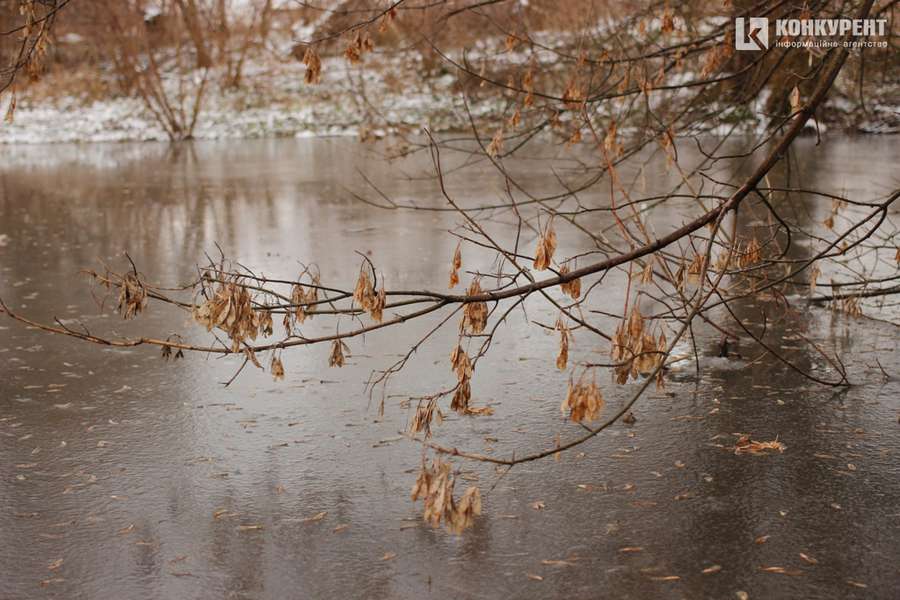 Підтоплені дерева та відчайдушні бігуни: ранок у луцькому парку (фото)