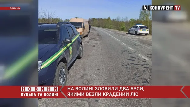 На автодорозі Луцьк – Любешів – Дольськ два дні поспіль ловили крадіїв лісу (фото, відео)