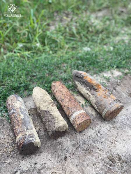 На Волині в полях знайшли старі снаряди (фото)