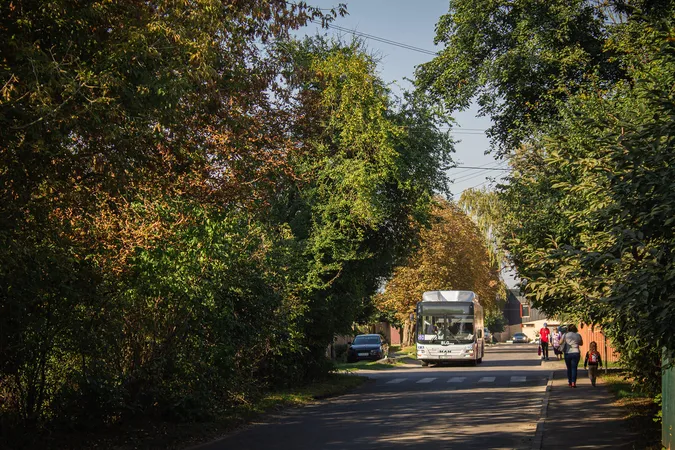 Чому з луцьких маршрутів зникли великі «МАНи» (фото)