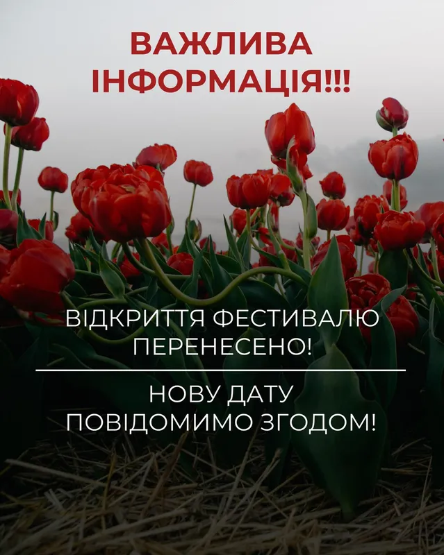 На Волині перенесли відкриття фестивалю тюльпанів: що коїться