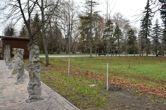 В центральному парку Луцька посадили 85 кленів та лип (фото)