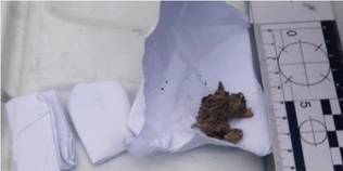 Поводився підозріло: волинські правоохоронці знайшли у перехожого наркотики (фото)