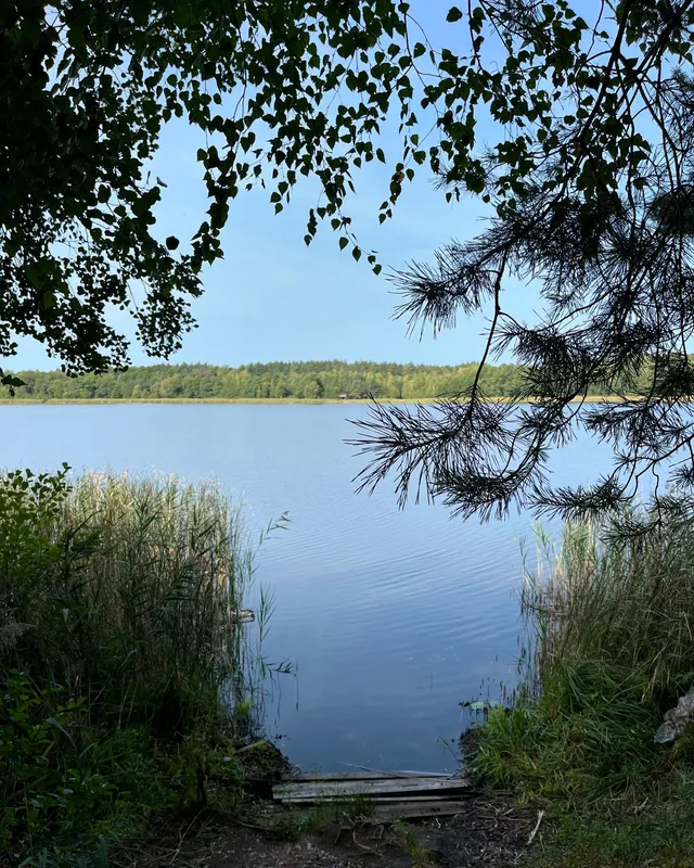 У воді – багато мінералів: на Волині є озеро, в якому повно риби (фото)