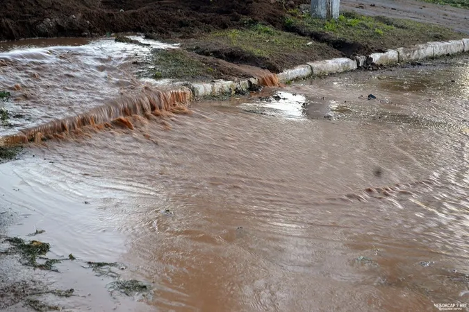 У Луцьку в районі ДПЗ прорвало каналізаційну мережу з фекаліями