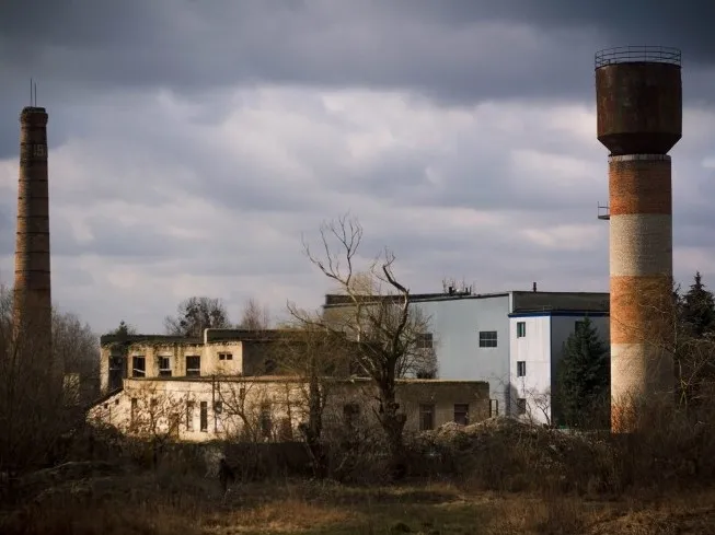 Хід чумою, або Політика на свинячих тушках