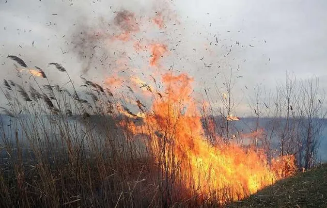 У двох районах на Волині розслідують 7 фактів підпалу трави