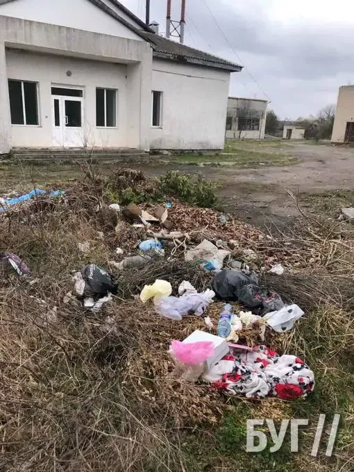 Покійників несуть через гори непотребу: селище на Волині потопає у смітті (фото)