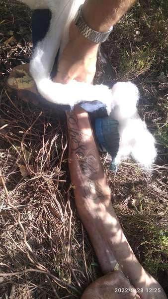 Просять упізнати: на Волині знайшли труп 30-річного чоловіка з татуюванням на руці
