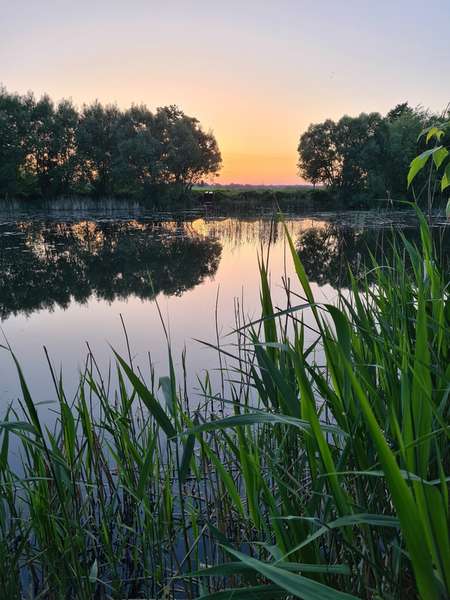 З першим промінням сонця і крапельками роси: світанок на Теремнівських ставках (фото)