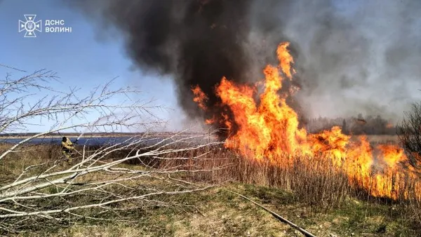 Вогонь підходив до будинків і доріг: на Волині за два дні вигоріло понад 30 га трави і чагарників (фото)