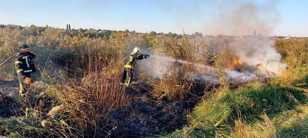 Горіли суха трава, чагарники та ліс: на Волині за добу загасили 19 пожеж в екосистемах (фото)