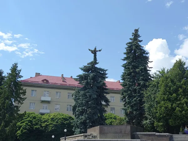 Як у Ріо: на луцькій ялинці помітили Христа-Спасителя (фото)