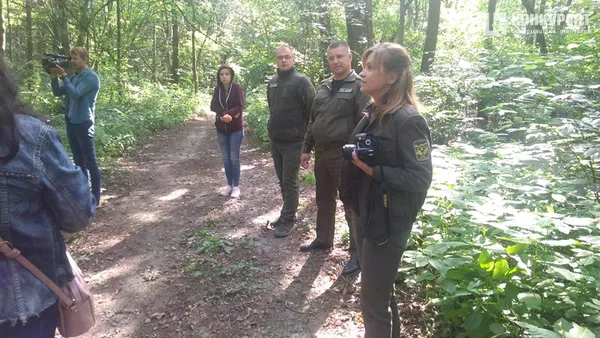 Ліс на Волині гине: його нищать шкідники і недосконалі закони