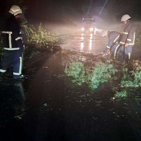 У Луцькому районі повалене дерево перегородило дорогу (фото)