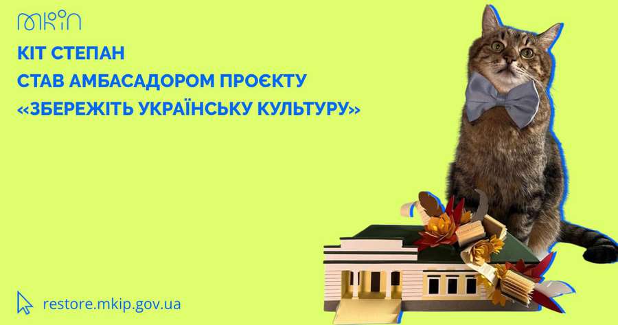 Мінкульт призначив кота Степана берегти українську культуру