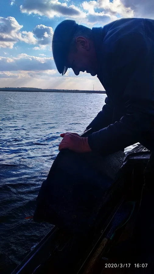 У Хрінницьке водосховище вселили майже тонну риби