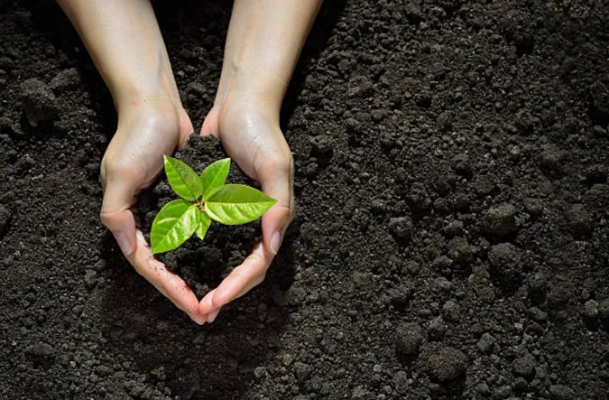 За рік волиняни заплатили за землю 155 мільйонів гривень