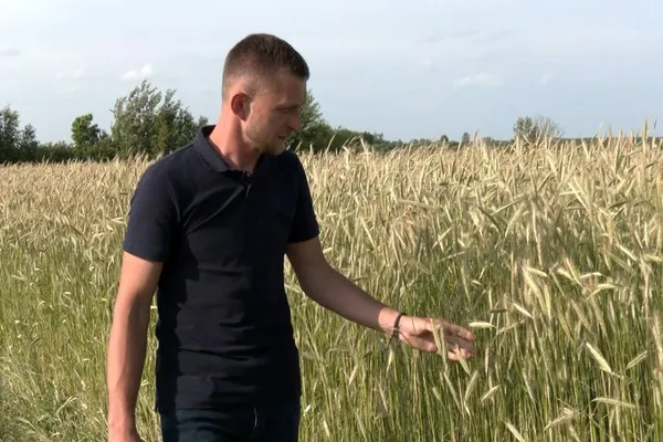 «Раніше казали «колгоспник», а зараз працювати в полі – це круто», – фермер з Волині (відео)