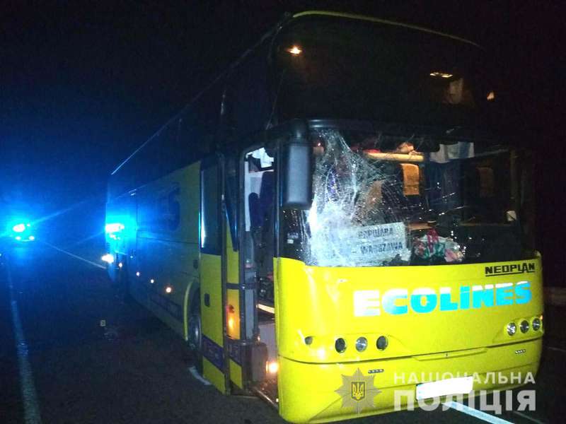 На ковельській трасі автобус «Ecolines» збив чоловіка (фото)