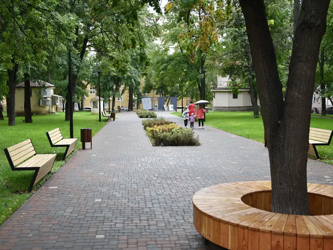 У Луцьку облаштують сквер з унікальними деревами