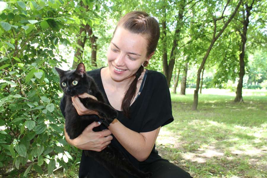 Кіт-альпініст:  у Луцьку зняли кота, який просидів на дереві майже тиждень (фото, відео)