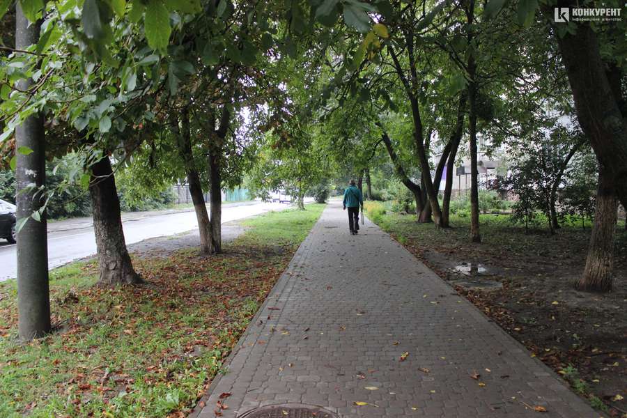Підтоплені двори і опале листя: наслідки грози у Луцьку (фото)