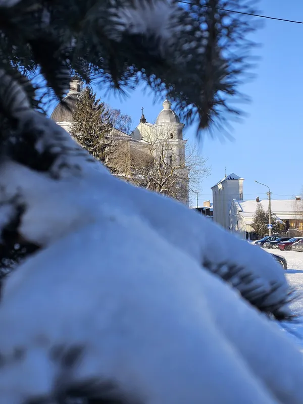Кликуни несуть світло: показали мальовничі ранкові пейзажі Луцька (фото)