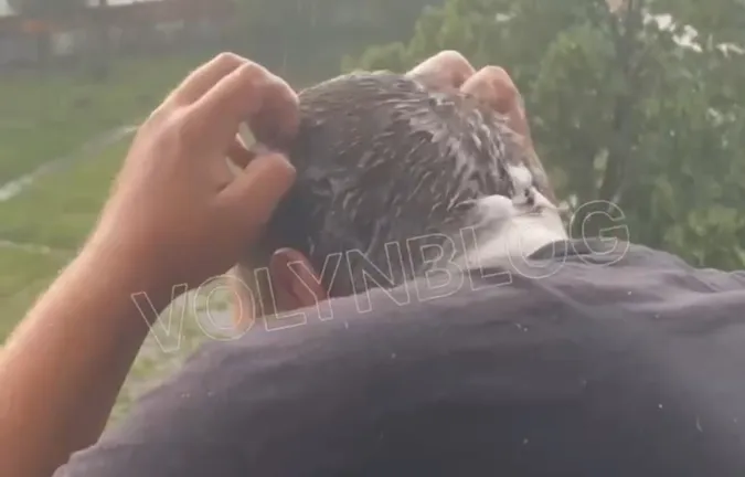 У гуртожитку Луцького НТУ під час дощу студенти миють голову (відео)