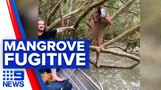 Втікав від поліції і втрапив до крокодилів: голий австралієць просидів 4 дні на дереві
