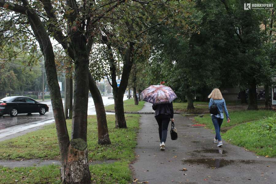 Підтоплені двори і опале листя: наслідки грози у Луцьку (фото)