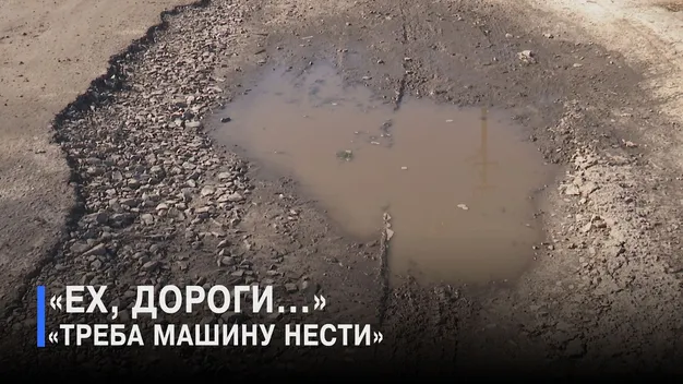 У селі на Волині мешканці зчинили ґвалт через вантажівки та дорогу (відео)