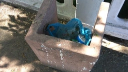 У Луцьку пропонують повикидати "чудернацькі" смітники (фото)
