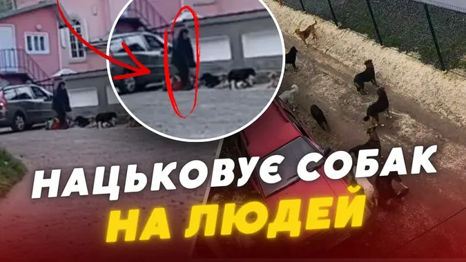 Б'є лопатою та нацьковує собак: у Ковелі жителі скаржаться на агресивного безхатька (відео)