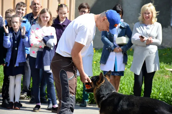 Лікування псами: у Луцьку відбулося заняття для діток (фото)