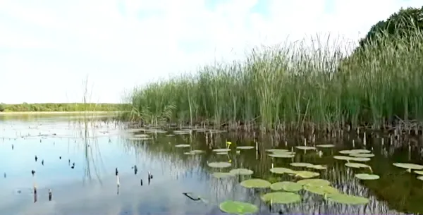 Під водою проклали дорогу до церкви на острові: на Волині – містичне урочище (фото, відео)