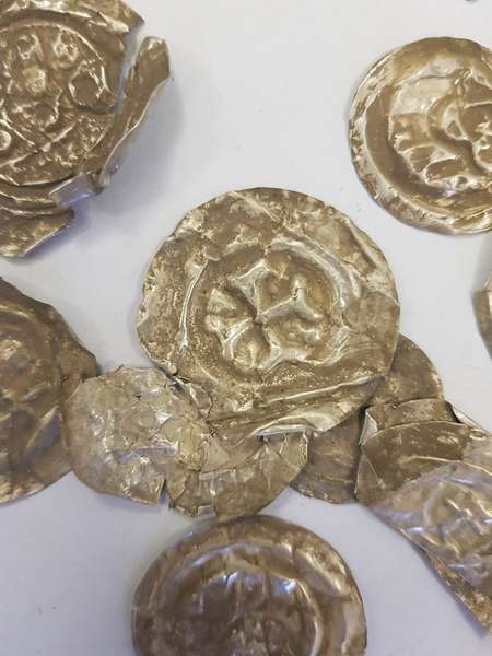 У Польщі собака розкопала рідкісну колекцію середньовічних монет (фото)