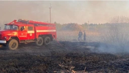 У Турійську виникла пожежа на площі три гектари (фото)