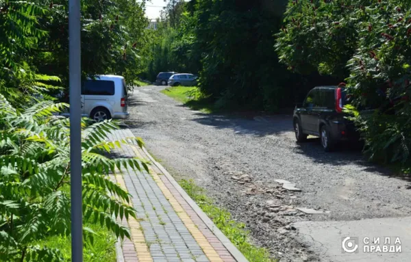 Дощова вода стікає на територію Волинського обласного перинатального центру