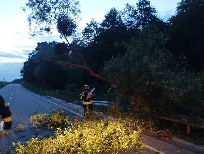 На Волині біля озера Лісне дерево впало на дорогу (фото)