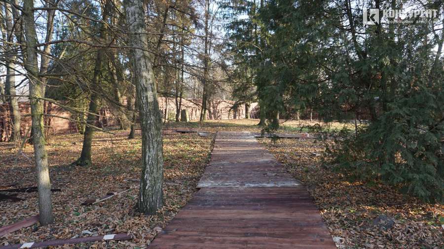 Рухомі рептилії та дерев'яні доріжки: яким буде динопарк у Луцьку (фото)